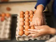 Hygiene Expert Warns on Egg Handling Amid UK Salmonella Outbreak