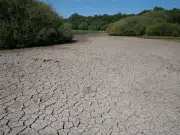 Iconic UK pond dries up as drought grips England and Wales