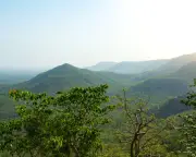 India's Green India Mission: Forest Expansion Falls 97.57% Short of Target