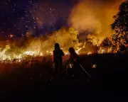 Indonesia Chokes on Haze as Super El Niño Intensifies Fires