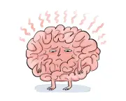 Inflammation and mental health: What the evidence shows