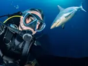 Influencers warned to stop shark selfies after attacks