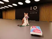 Inside No 10 North: Burnham's Manchester hub