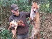 Irish animal hunter linked to far-right protests in Scotland