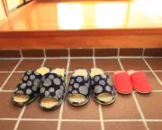 Japan Paramedics' Shoes: Etiquette Guide for Emergencies