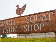 Jeremy Clarkson sighting at Diddly Squat delights fans