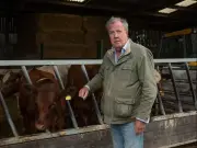 Jeremy Clarkson's Diddly Squat Farm harvest ruined by UK heatwave