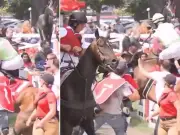 Jockey Katie Davis Escapes Injury After Crowd Fall at Saratoga