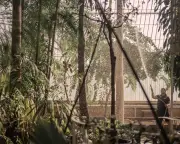 Kew Gardens Palm House to Undergo Major Renovation
