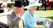 King and Queen Sell Racehorse Point Of Law in £3m Deal