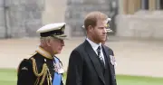 King Charles 'will allow Harry to be working royal again' for one key reason