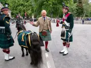 King Charles's Awkward Encounter with Shetland Pony at Balmoral Captured on Camera