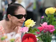 Knowsley Flower Show returns for 28th edition at Court Hey Park