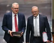 Labor's Immigration Dilemma: A Defining Moment for the Party