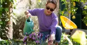 Lavender blooms boost: Add 1 Mediterranean ingredient to soil