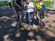 Lc Tiffen wins Leigh Handicap at 80-1 at Haydock