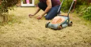 Leave Brown Lawns Alone During Drought to Revive Them