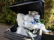 Legal rights when neighbour's bins overflow: what to know
