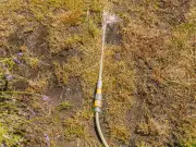 Legal ways to water your garden during UK hosepipe ban