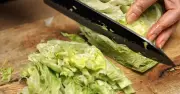 Lettuce stays fresh for four weeks when stored in tin foil, not kitchen roll
