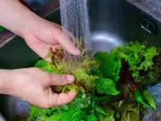 Lettuce storage hack keeps greens fresh for up to two weeks