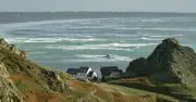 Lifeguard punches 12ft shark as Jersey beach closed after sighting