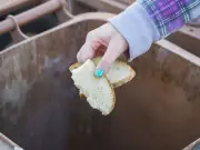 Liverpool homeowners told to put bread in wheelie bins to stop pests