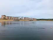 Llanelli waterfront residents say nightly car meets are 'like Mad Max'