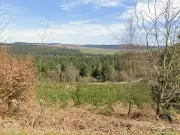 Llanwonno mountain fire: road closed, residents warned