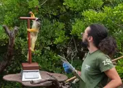 London Zoo weigh-in: 10,000 animals measured in annual health check