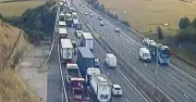 M62 chaos: Sheep on motorway cause 45-minute delays