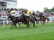 Magic Effort tipped for Windsor nursery debut win