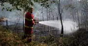 Major Incident Declared as Two Huge Fires Rip Through UK Woodland