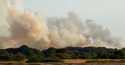 Major wildfire erupts as 26 fire engines rush to blaze after A31 vehicle fire