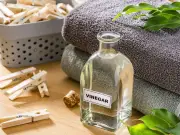Malt, White, and Distilled Vinegar Differences Explained