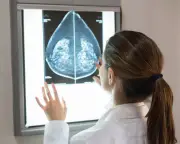 Mammograms Could Predict Heart Disease Risk in Women