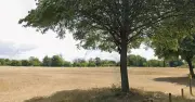 Man allegedly sexually assaulted at Clifton Down; police release image