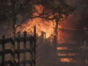 Man Arrested Over Wildfire Says 'This Will Destroy My Life' as Body Found