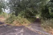 Man charged over dog bite death on Wakefield footpath