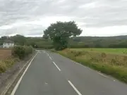 Man dies after dog bite in Wakefield; murder probe launched