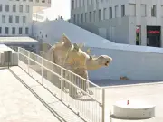 Man Dies Trapped in Dinosaur Statue Leg in Spain