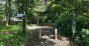 Man in 60s arrested after woman allegedly raped in Bournemouth nature reserve