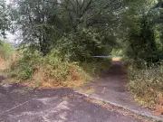 Man in court over fatal dog bite death