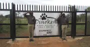 Man mauled to death by lion during night shift at South African reserve