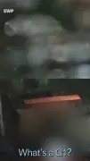 Man sorry after shattering police car windscreen