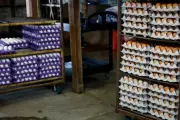 Massive egg recall in US south and south-west due to salmonella outbreak