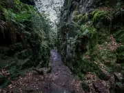 Mateo Kovacic's family hike at Lud's Church in the Peak District