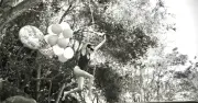 Meghan Markle shares pool photo for 45th birthday