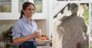 Meghan Markle slammed for 'bore fest' garden video