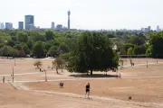 Met Office considers extreme heat warning as 36C forecast